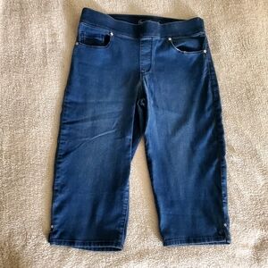 Gloria Vanderbilt Blue Bermuda Pull on Shorts Spring Summer Fall